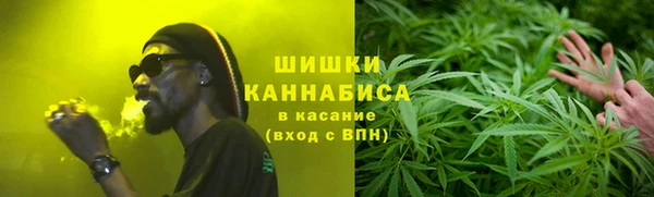 мдпв Волоколамск