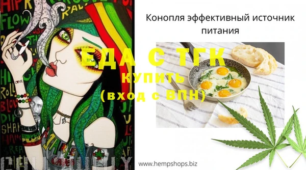 мдпв Волоколамск