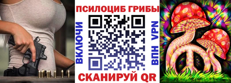 Псилоцибиновые грибы Psilocybe  Славянск-на-Кубани 